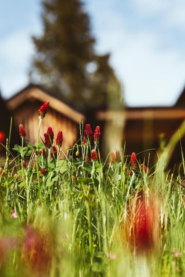 Hideaway Hotel Montestyria Chalets & Suiten Mariazell Exterior foto